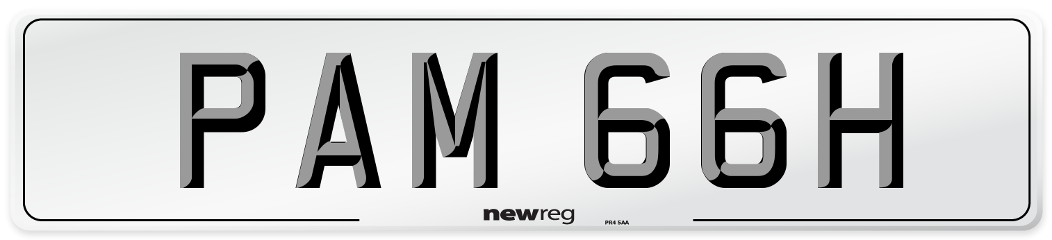 PAM 66H Number Plate from New Reg